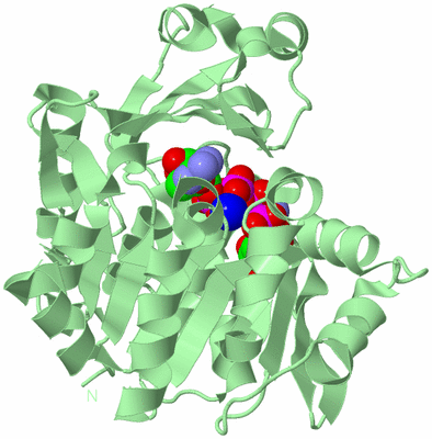 Image Biological Unit 2