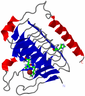 Image Asym. Unit - sites