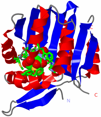 Image Asym. Unit - sites