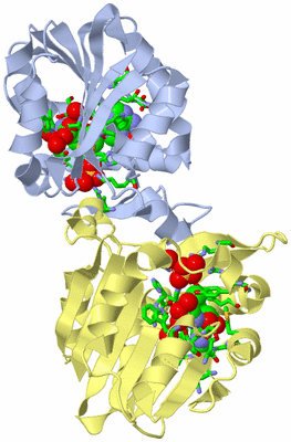 Image Biol. Unit 1 - sites