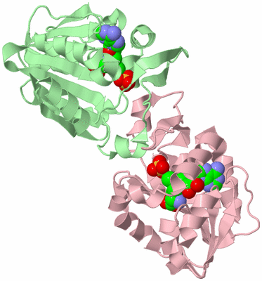 Image Biological Unit 2