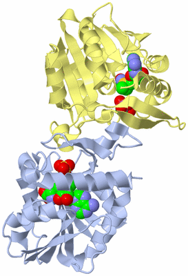 Image Biological Unit 1