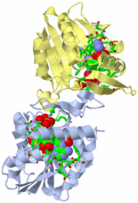 Image Biol. Unit 1 - sites