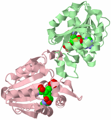 Image Biological Unit 2