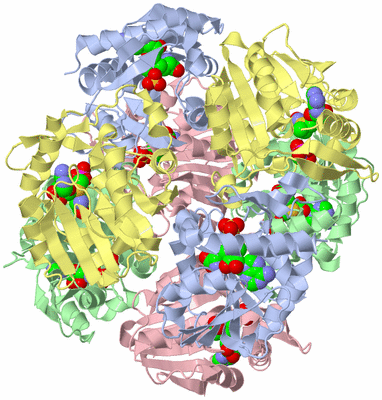 Image Biological Unit 3