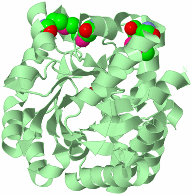 Image Biological Unit 2