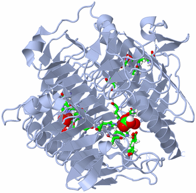 Image Biol. Unit 1 - sites