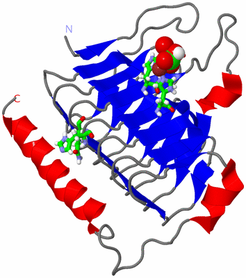 Image Asym. Unit - sites