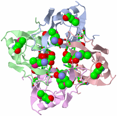 Image Biol. Unit 1 - sites