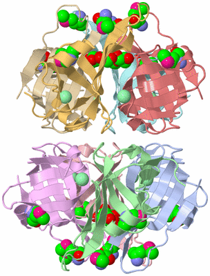 Image Biological Unit 3