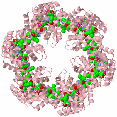 Image Biological Unit 2