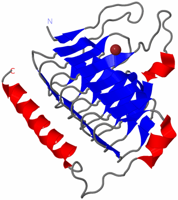 Image Asymmetric Unit