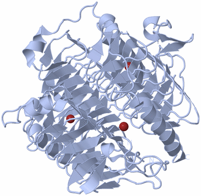 Image Biological Unit 1