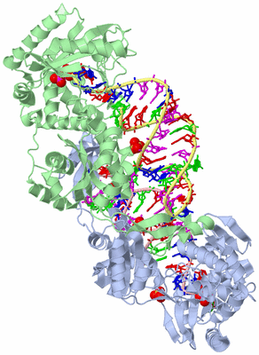 Image Asym./Biol. Unit