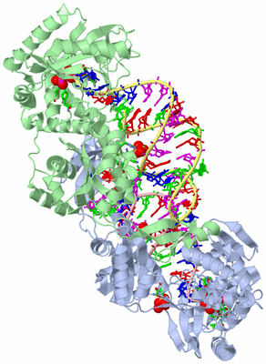 Image Asym./Biol. Unit - sites