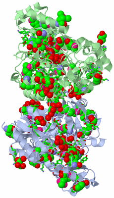 Image Biol. Unit 1 - sites