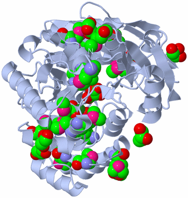 Image Biological Unit 2