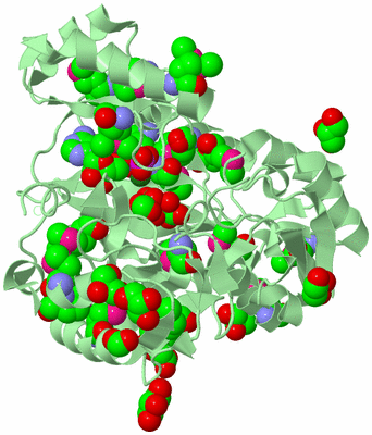 Image Biological Unit 3