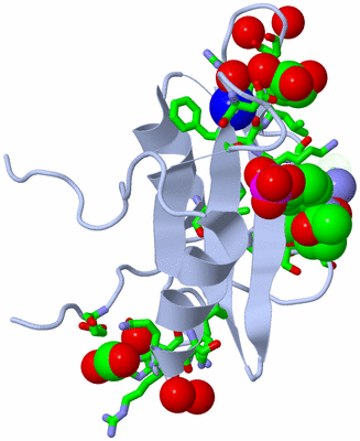 Image Biol. Unit 1 - sites