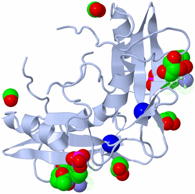 Image Biological Unit 2