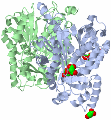 Image Biological Unit 1