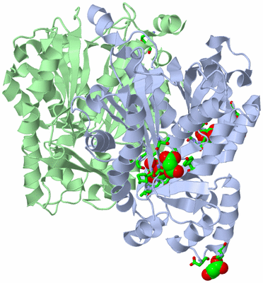 Image Biol. Unit 1 - sites