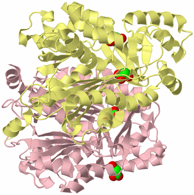 Image Biological Unit 2