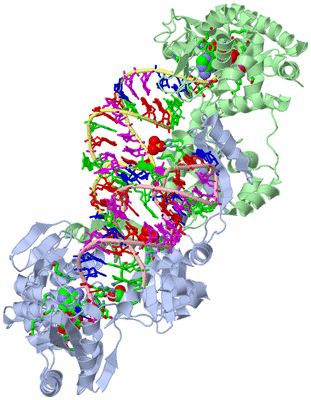 Image Asym./Biol. Unit - sites