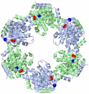 Image Biological Unit 1