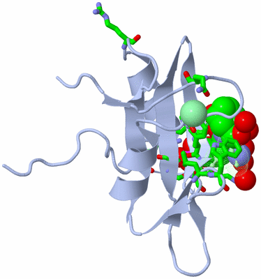 Image Biol. Unit 1 - sites