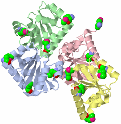 Image Asym./Biol. Unit