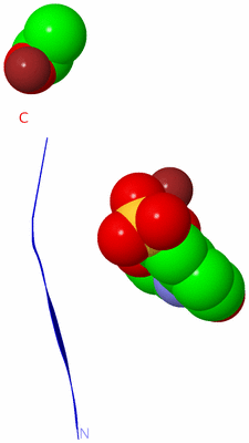 Image Asymmetric Unit