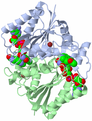 Image Asym./Biol. Unit