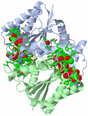 Image Asym./Biol. Unit - sites