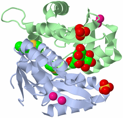 Image Asym./Biol. Unit