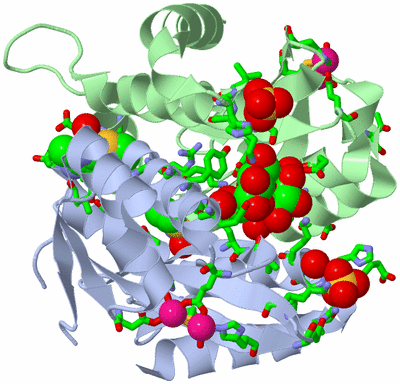 Image Asym./Biol. Unit - sites