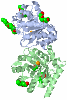 Image Asym./Biol. Unit