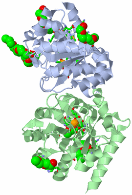 Image Asym./Biol. Unit - sites