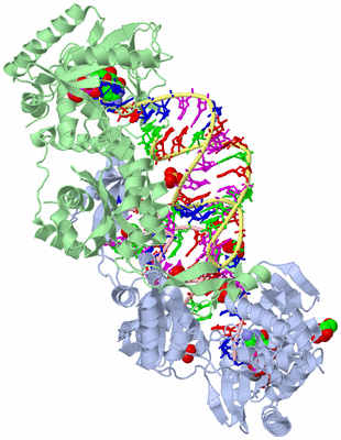 Image Asym./Biol. Unit