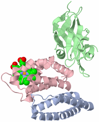 Image Asym./Biol. Unit