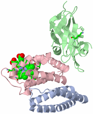 Image Asym./Biol. Unit - sites