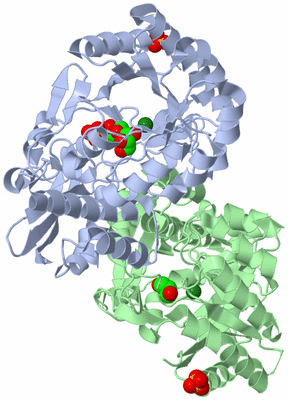 Image Biological Unit 1