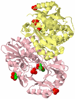 Image Biological Unit 2