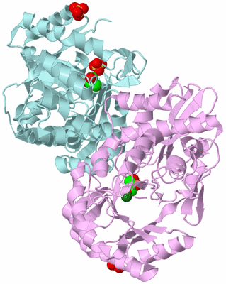 Image Biological Unit 3