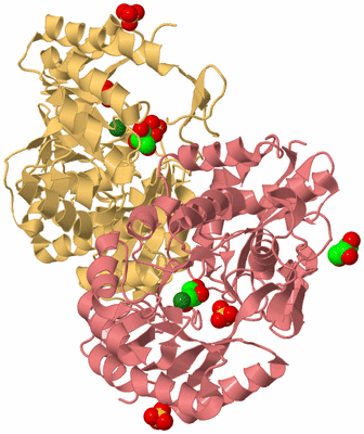 Image Biological Unit 4