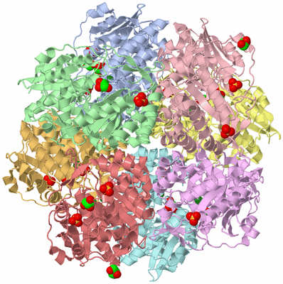 Image Biological Unit 5