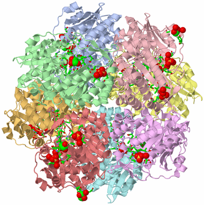 Image Asym. Unit - sites