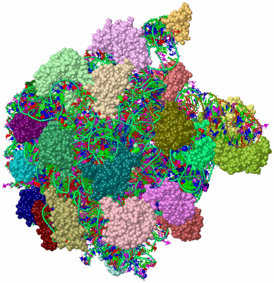 Image Asym./Biol. Unit - sites