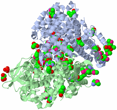 Image Biological Unit 1