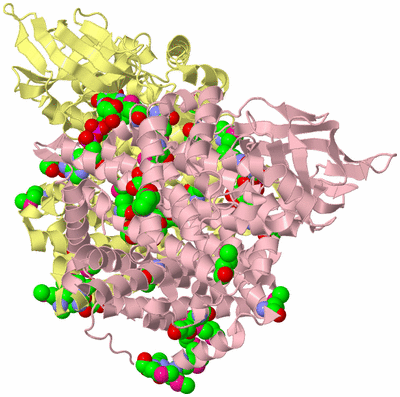 Image Biological Unit 2